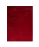 5' X 8' Red Faux Fur Shag Washable Non Skid Area Rug