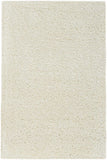3' X 4' Ivory Shag Distressed Area Rug