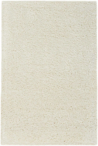 3' X 4' Ivory Shag Distressed Area Rug