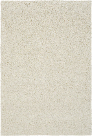 4' X 6' Ivory Shag Area Rug