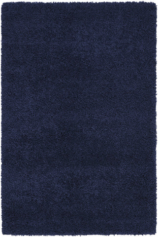 4' X 6' Blue Shag Area Rug