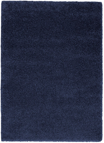 5' X 7' Blue Shag Area Rug