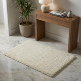 3' X 5' Ivory Shag Distressed Area Rug