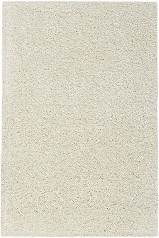 3' X 5' Ivory Shag Distressed Area Rug