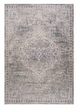 7' X 10' Gray and Beige Oriental Distressed Area Rug