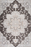 4' X 6' Gray and Brown Southwestern Distressed Area Rug