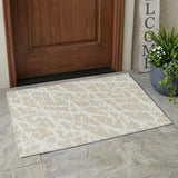 3' X 5' Beige and Ivory Abstract Washable Non Skid Indoor Outdoor Area Rug