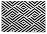2' X 3' Black and White Geometric Washable Non Skid Indoor Outdoor Area Rug