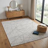 4' X 6' Gray and Ivory Abstract Hand Woven Area Rug