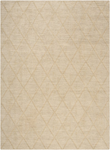 5' X 7' Beige Wool Geometric Area Rug