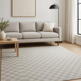 5' X 7' Gray Checkered Area Rug