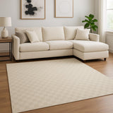 6' X 9' Ivory Checkered Area Rug