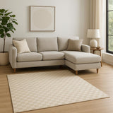 8' X 10' Beige Checkered Area Rug