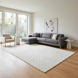 8' X 10' Ivory Checkered Area Rug