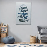 Whale Study White Floater Frame Wall Art