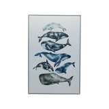 Whale Study White Floater Frame Wall Art
