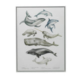 Under the Sea White Floater Frame Print Wall Art