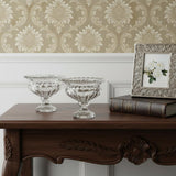 Set of Two Clear Glass Round Bowl Table Vases