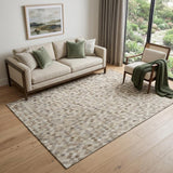 5' X 8' Gray Ivory And Beige Diamond Washable Area Rug With UV Protection