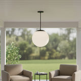 Black And White Frosted LED Dimmable Outdoor Hanging Light With Black Shades