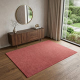 4' X 6' Red Area Rug