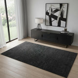 4' X 6' Black Area Rug