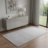 4' X 6' Light Gray Area Rug