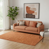 5' X 8' Orange Area Rug