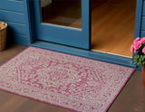 3' X 5' Fuchsia And Light Gray Medallion Indoor Outdoor Area Rug