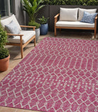 5' X 8' Fuchsia And Light Gray Trellis Indoor Outdoor Area Rug
