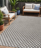 5' X 8' Dark Gray And Ivory Trellis Indoor Outdoor Area Rug