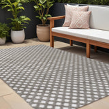 8' X 10' Dark Gray And Ivory Trellis Indoor Outdoor Area Rug