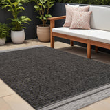 8' X 10' Black And Cream Indoor Outdoor Area Rug