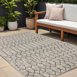 8' X 10' Light Gray And Black Trellis Indoor Outdoor Area Rug