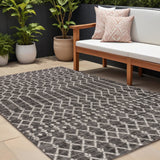 8' X 10' Black And Gray Trellis Indoor Outdoor Area Rug