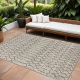 6' X 9' Light Gray And Black Trellis Indoor Outdoor Area Rug