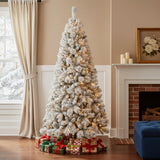 6' Pre Lit Full Flocked Fir Christmas Tree