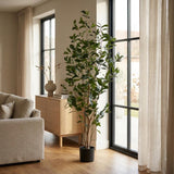 64" Green Artificial In Cylindrical Black Pot
