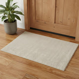 2' X 3' Ivory Hand Woven Area Rug
