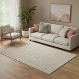 5' X 8' Ivory Hand Woven Area Rug