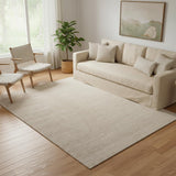 5' X 8' Taupe Hand Woven Area Rug