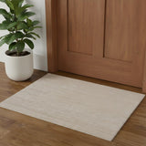 2' X 3' Taupe Hand Woven Area Rug