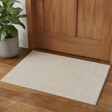 3' X 5' Ivory Hand Woven Area Rug