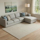 8' X 10' Ivory Hand Woven Area Rug
