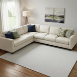 8' X 10' White Hand Woven Area Rug