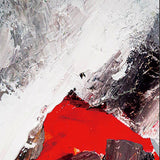 Rojo Black Framed Wall Art