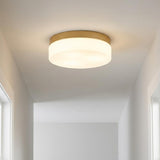 11" Brass Metal And Glass Flush Mount Ceiling Light