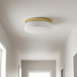 11" Brass Metal And Frosted Glass Flush Mount Ceiling Light