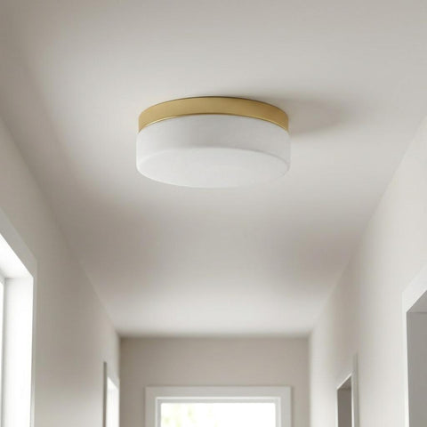 11" Brass Metal And Frosted Glass Flush Mount Ceiling Light