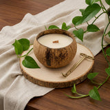 4" Ivory Coconut And Hibiscus Scented Candle In Brown Coconut Shell Holder